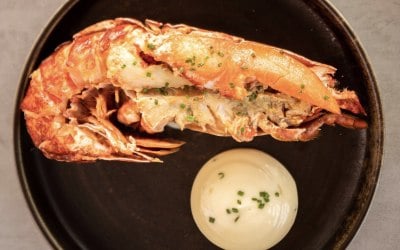 Grilled Lobster, lime mayo