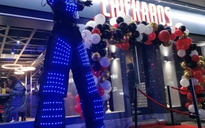 LED Robot