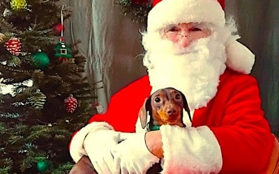 Xmas Santa Claus