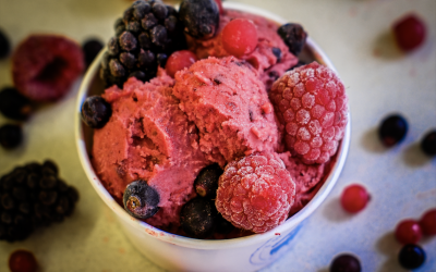 Vegan Hedgerow Sorbet
