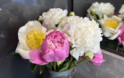 We grow our own cut flowers...