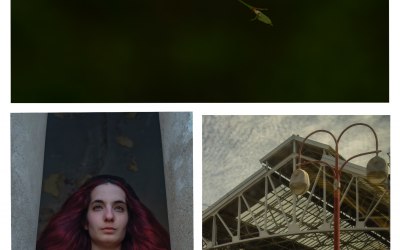 Detail/Portrait/Architecture Photography