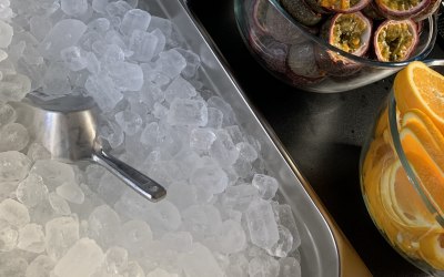 Ice and Fruit