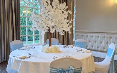 Blossom Trees, Chair Covers & Chair Sashes