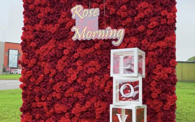 Red roses flower wall