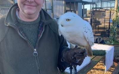 Mitch and Rudy our Snowy Owl