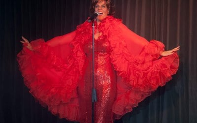 Shirley Bassey Tribute available 