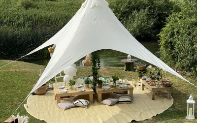Luxe Picnic with Grazing Board