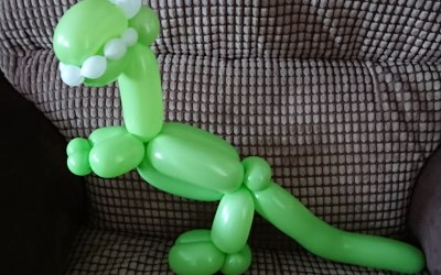 Nessy's Novelty Balloon Art 5