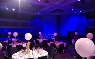 Eco Friendly paper tassels with large balloons on stands by PolyWood Studios for BACO event in Birmingham