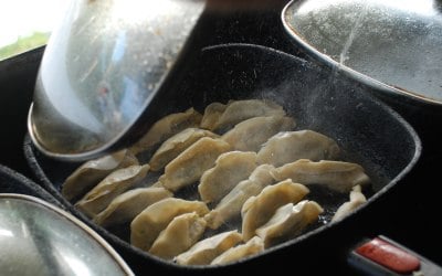 Gyoza Dumplings