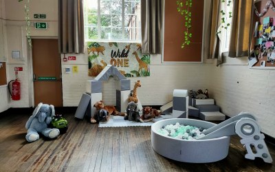 Custom soft play packages with safari animals.