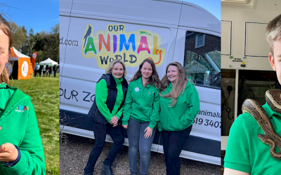 The Our Animal World Team