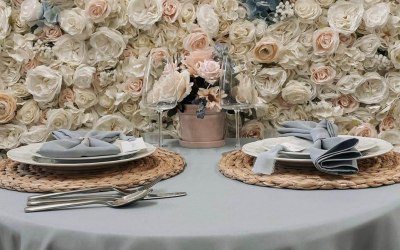 Tableware, napkins and table linen