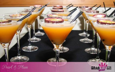 Cocktail Reception @ John Hartson Gala Ball