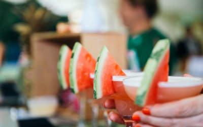 Watermelon Daiquiris for a fundraiser