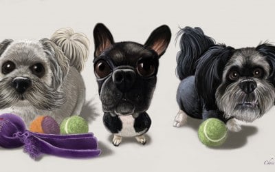 I also undertake pet caricatures