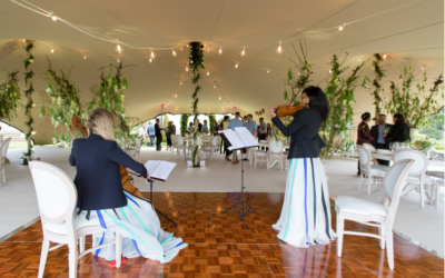 Stretch Tent Hire 