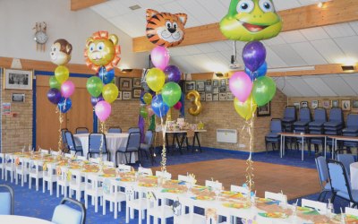 Themed Children Party