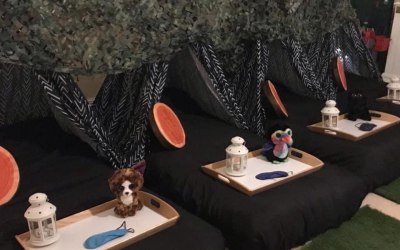 Indoor camping theme