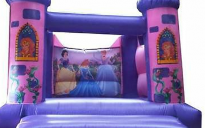 Princess bouncy castle