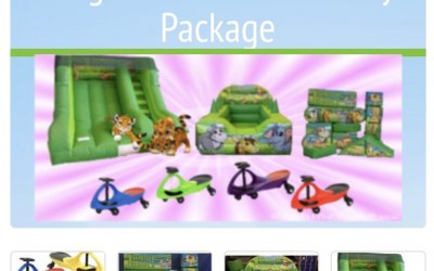 Jungle Slide and Soft Play Package