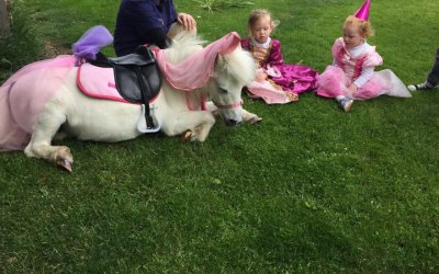 Mobile Princess Party Pony