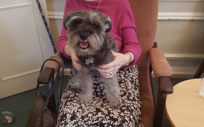 Care homes and animal therapy