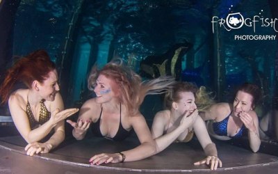 Chatting Mermaids