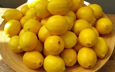 A few lemons for the weekend