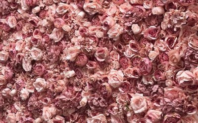 Blush Flower Wall
