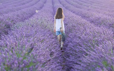Lavender field portrait photography