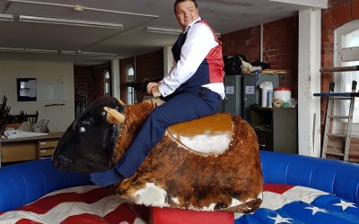 Rodeo bull