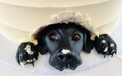 Oh George! Wedding cake