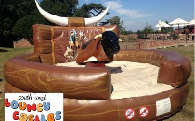 Rodeo Bull 