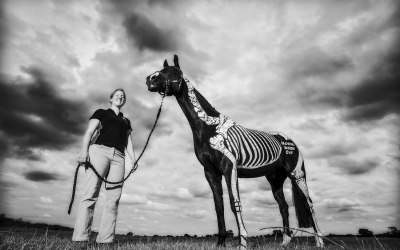 Portrait shoot of an equine physio who illustrates the muscles and bones on the horse