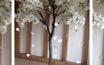 Blossom Trees - Available for hire
