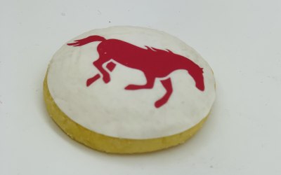 Iced Logo Cookies