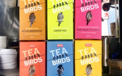 Welsh Brew 'Tea Birds' Tea