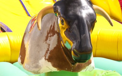 Rodeo Bull Hire | Inflatables