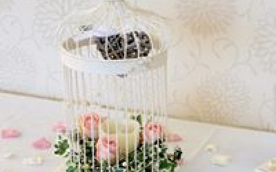 Eventsbrandao Event Planners Warwickshire