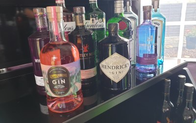 All the top Gins