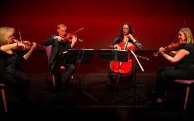 Haysden Strings, Quartet, Trio, Duo 3