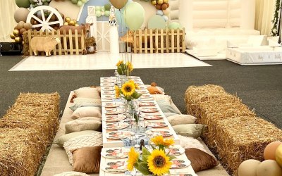 Bespoke Birthday set up with picnic tables 