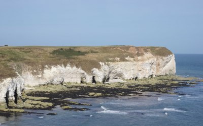 Limestone cliffs at Flamborough
