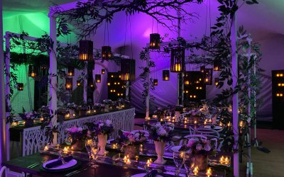 Woodland Enchanted - night time celebration
