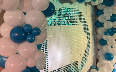 Air Globe/Balloon Artistry with Bespoke Sequin Backdrop