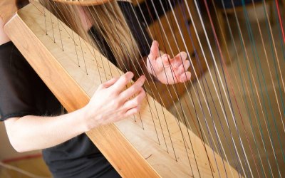 Nottingham Harpist