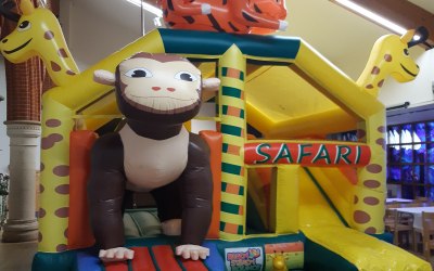 Monkey Safari Bounce n Slide