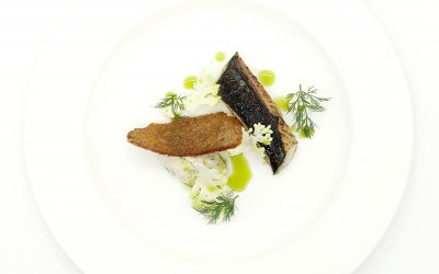Fennel and lime cured mackerel